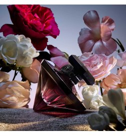 La Nuit Trésor Fleur de Nuit - Floral Eau de Parfum La Nuit Trésor Fleur de Nuit - Floral Eau de Parfum